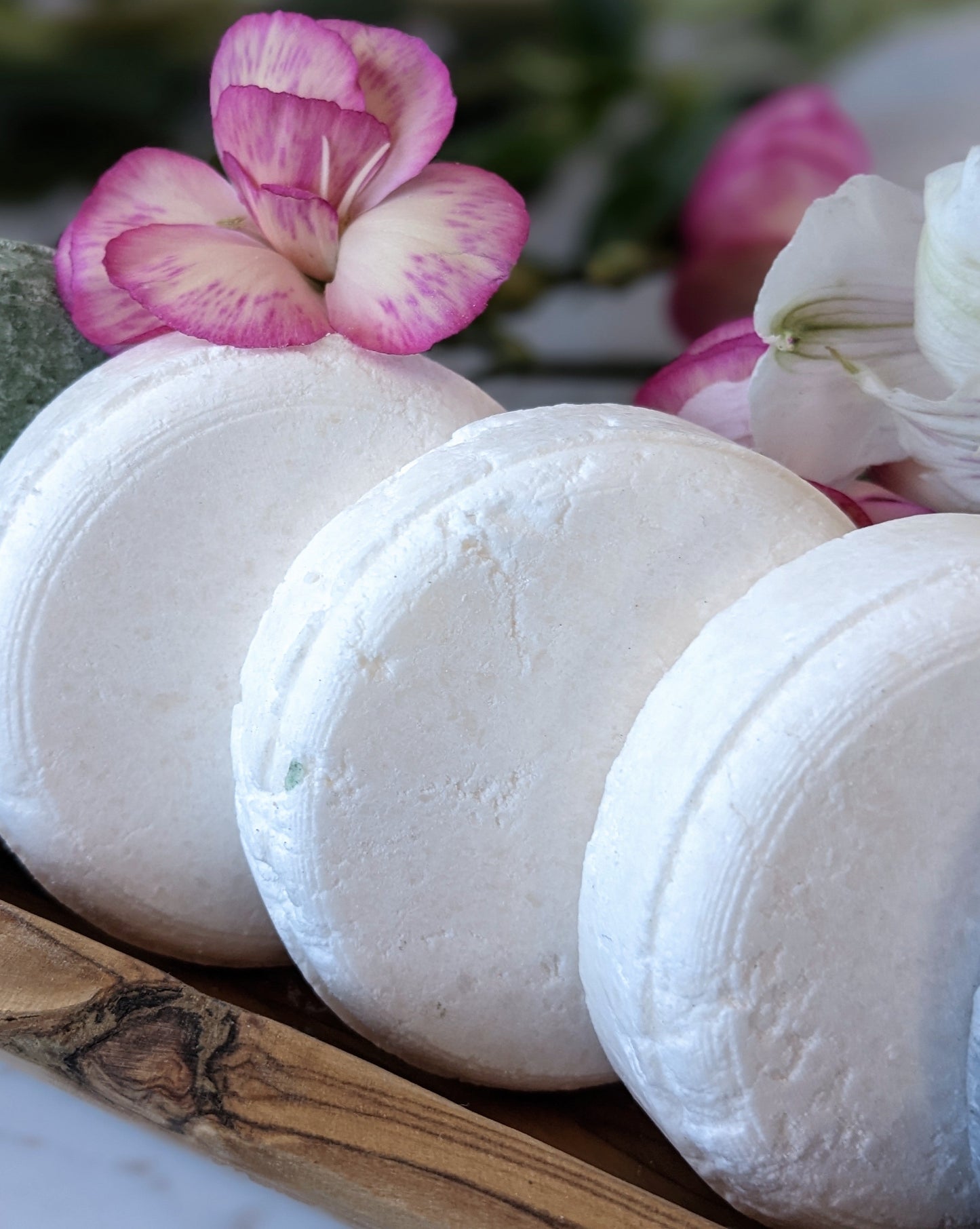 Shampoo Bars