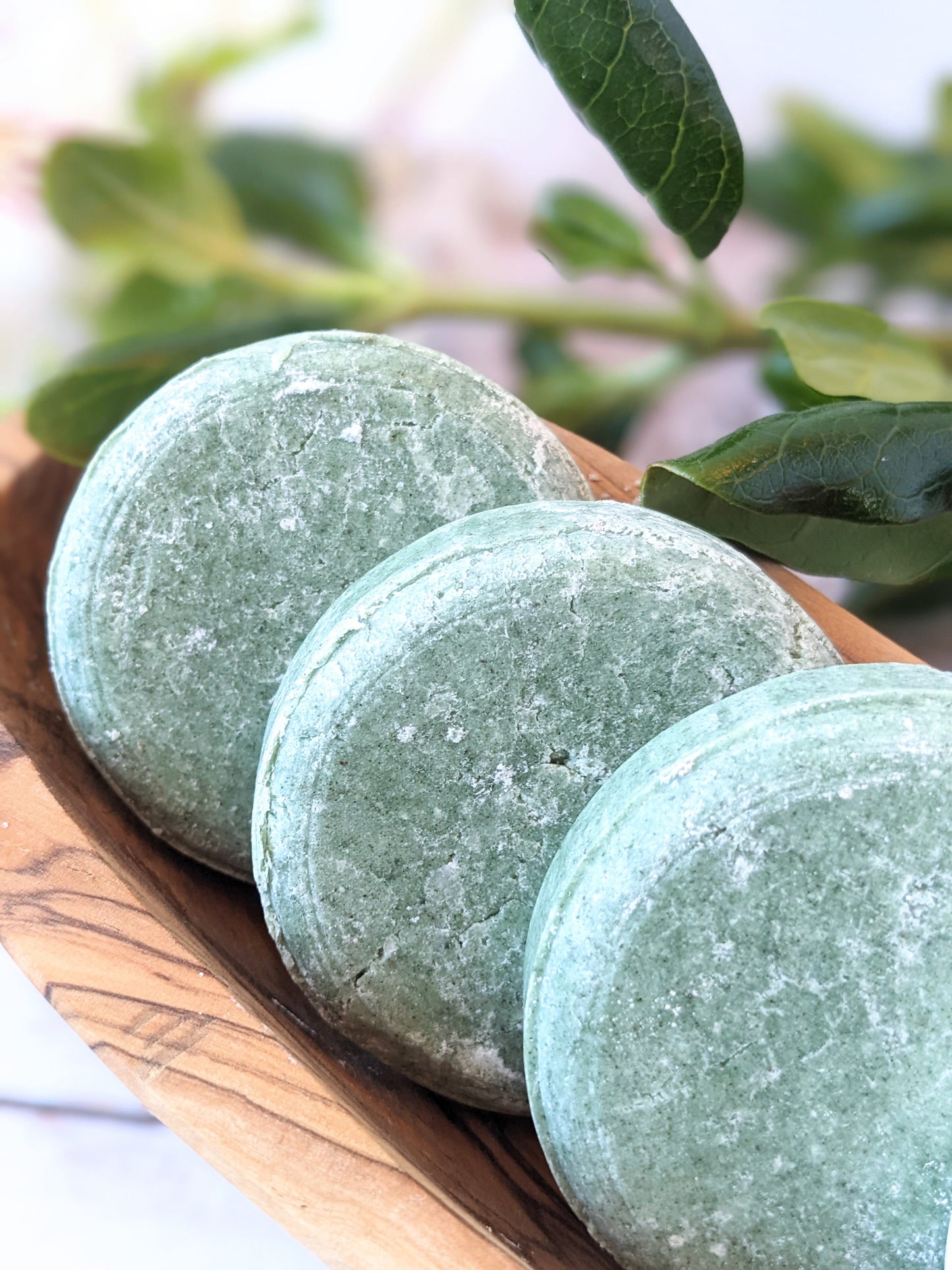 Shampoo Bars