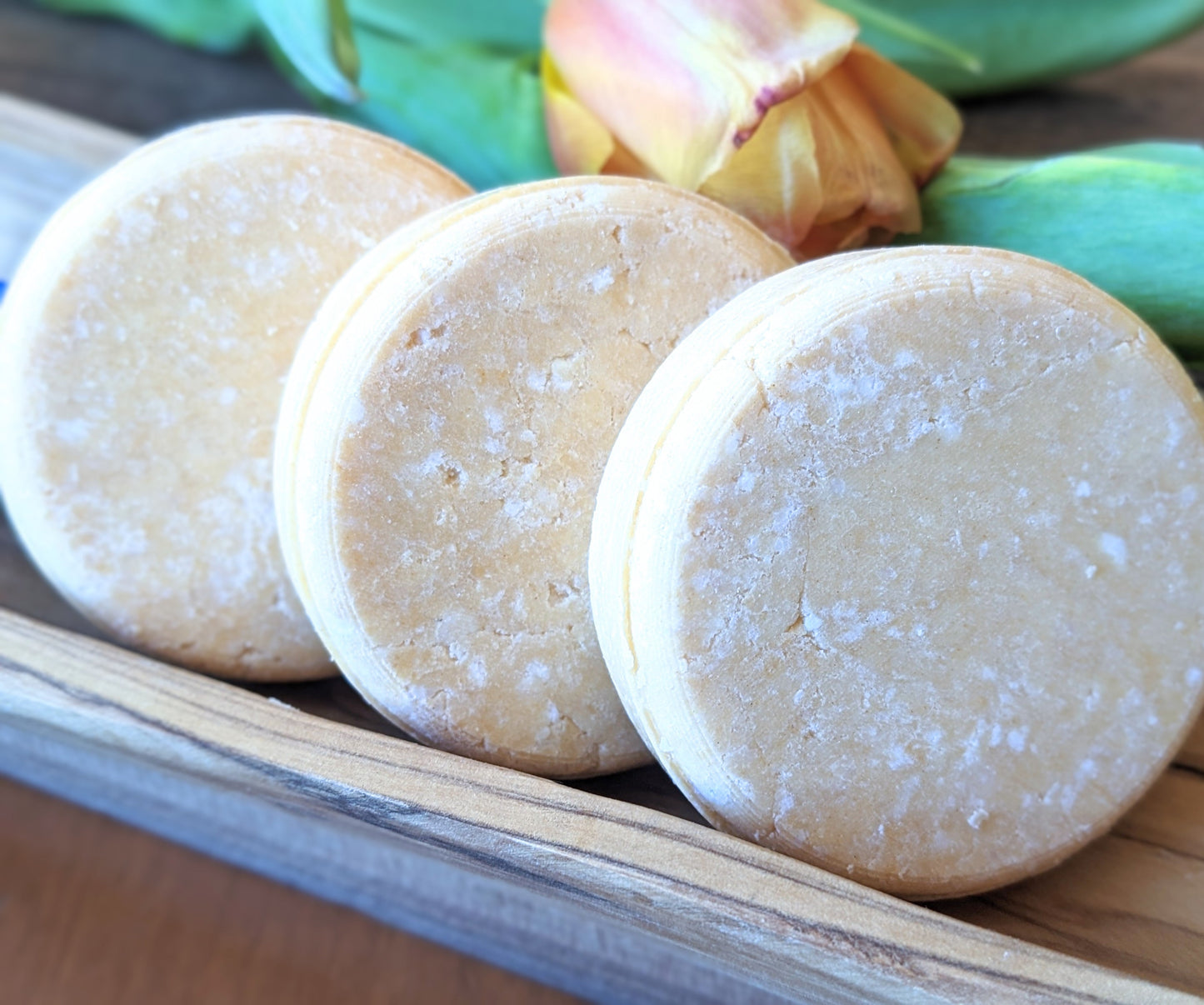 Shampoo Bars